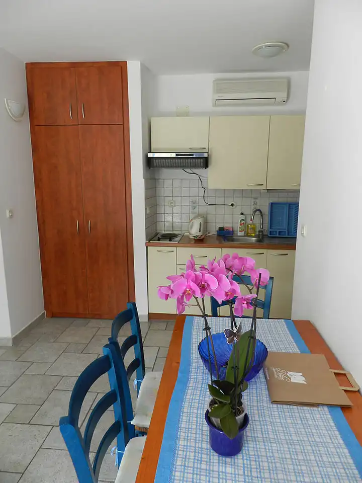 Apartment A1